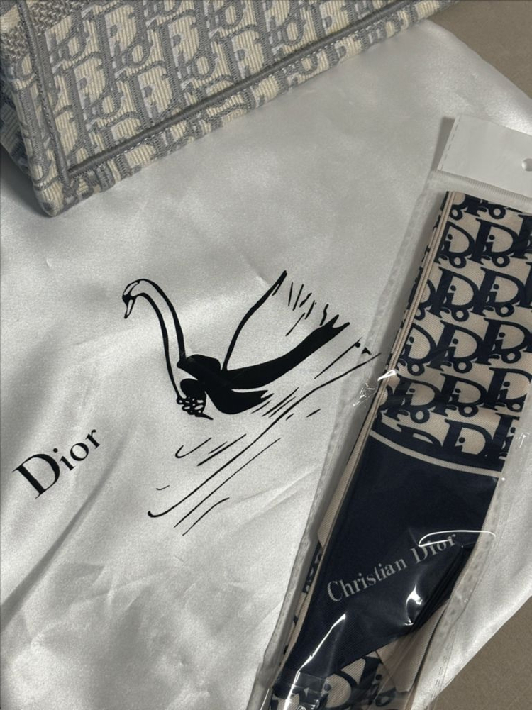 디올 오블리크 북토트백 스몰--6