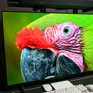 LG 올레드 TV 42C4 ENA 팝니다