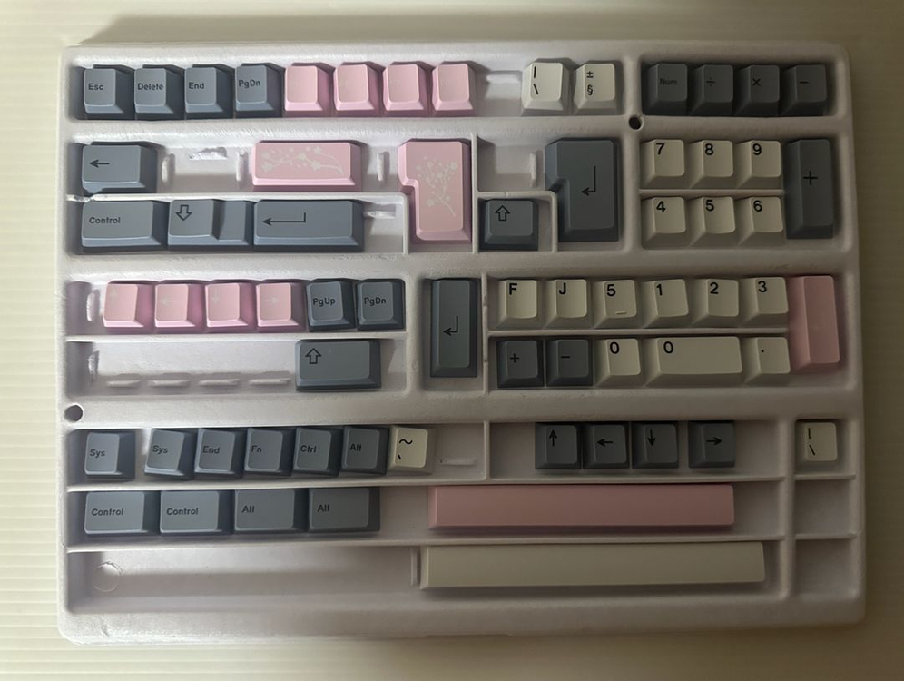 Gmk Fuji(Latin) + Novelties + Spacebar kit--2