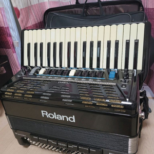 아코디언/로랜드전자아코디언