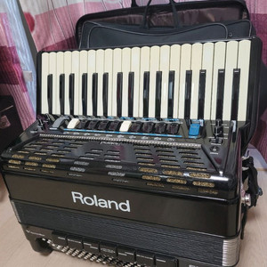 아코디언/로랜드전자아코디언