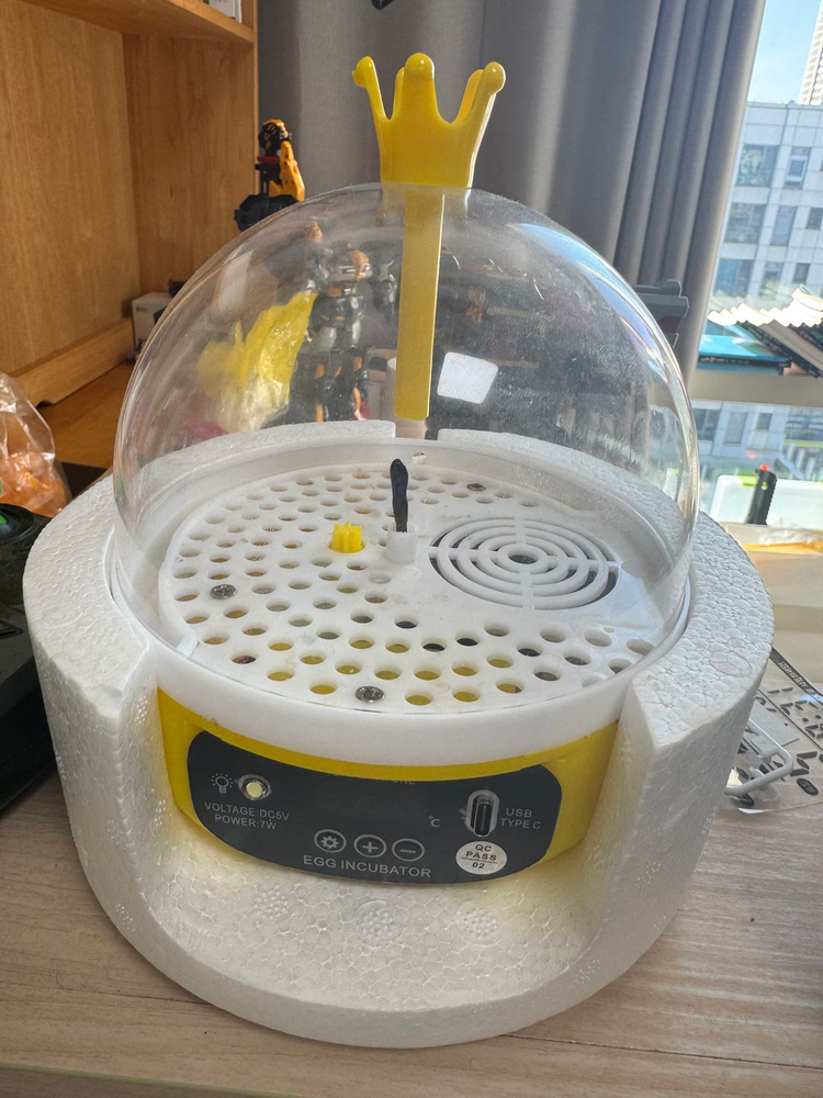 화이트 미니메추리 4마리 +집+ 부화기 무료나눔 이미지