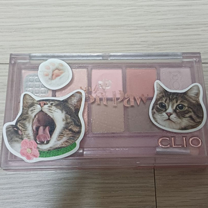 클리오 섀도우팔레트 나른한 발바닥