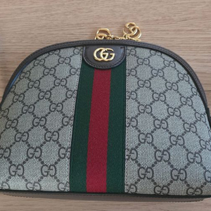 오피디아 GG 캔버스 크로스백