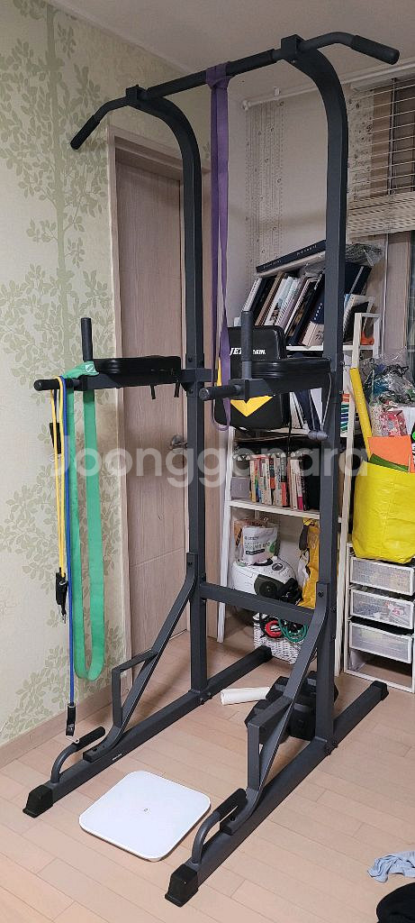 치닝디핑 헬스 운동기구--0