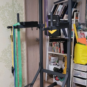 치닝디핑 헬스 운동기구