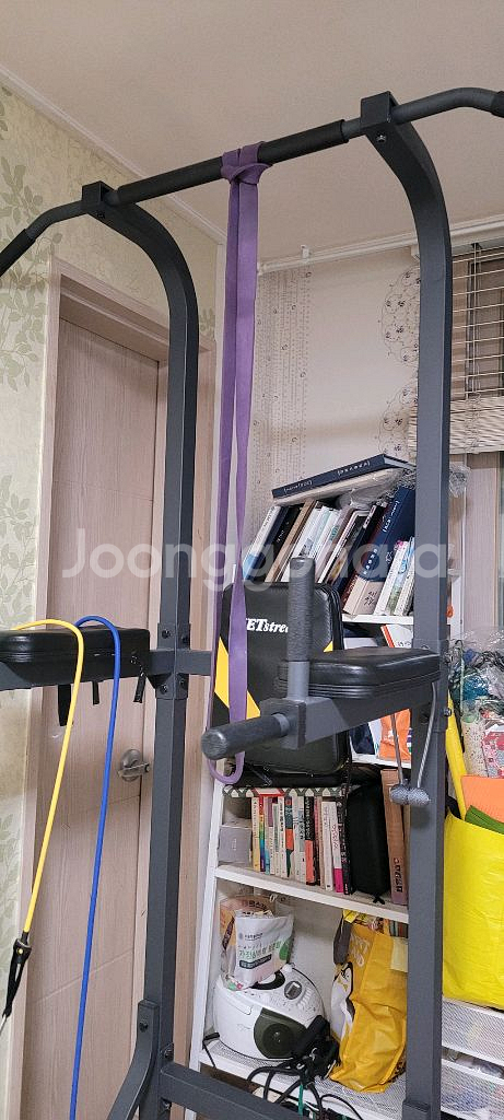 치닝디핑 헬스 운동기구--2