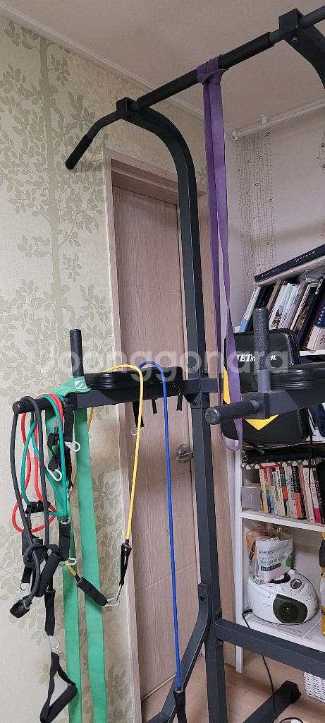 치닝디핑 헬스 운동기구--3