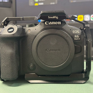 캐논 EOS R6 Mark II 팝니다