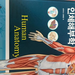 고문사 제6판 인체해부학 (안희경)