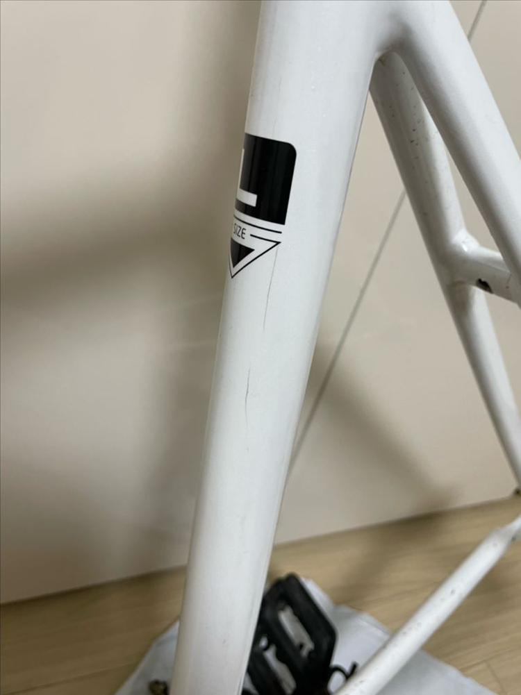 쓰나미 화이트반차 이미지