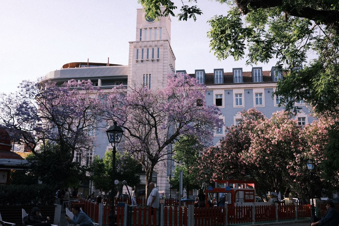 빈티지 카메라 후지필름 X100V 실버 / 풀박스 (A+급, 거의 새것/1500컷) 이미지