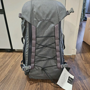 아크테릭스 리프 어썰트 30 울프