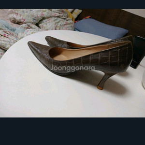 타임 갈색 구두