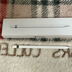 애플펜슬 1세대