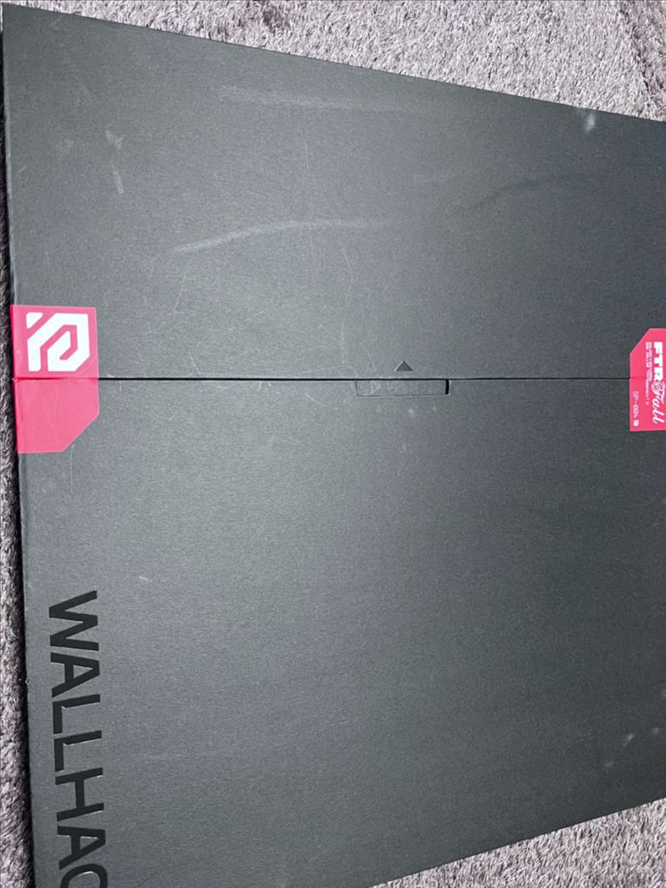 월핵 WALLHACK 퓨처폴 SP-004 유리패드--1