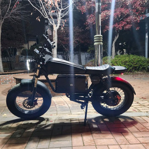 동도s8pro 자토바이 전기자전거 60v50암페아4000w 이미지