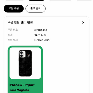 케이스티파이 아이폰17 포네사 케이스