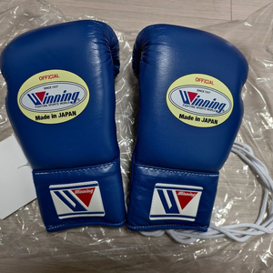 위닝 오피셜 복싱글러브 10온즈