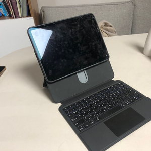 아이패드프로 11 1세대 256 셀룰러