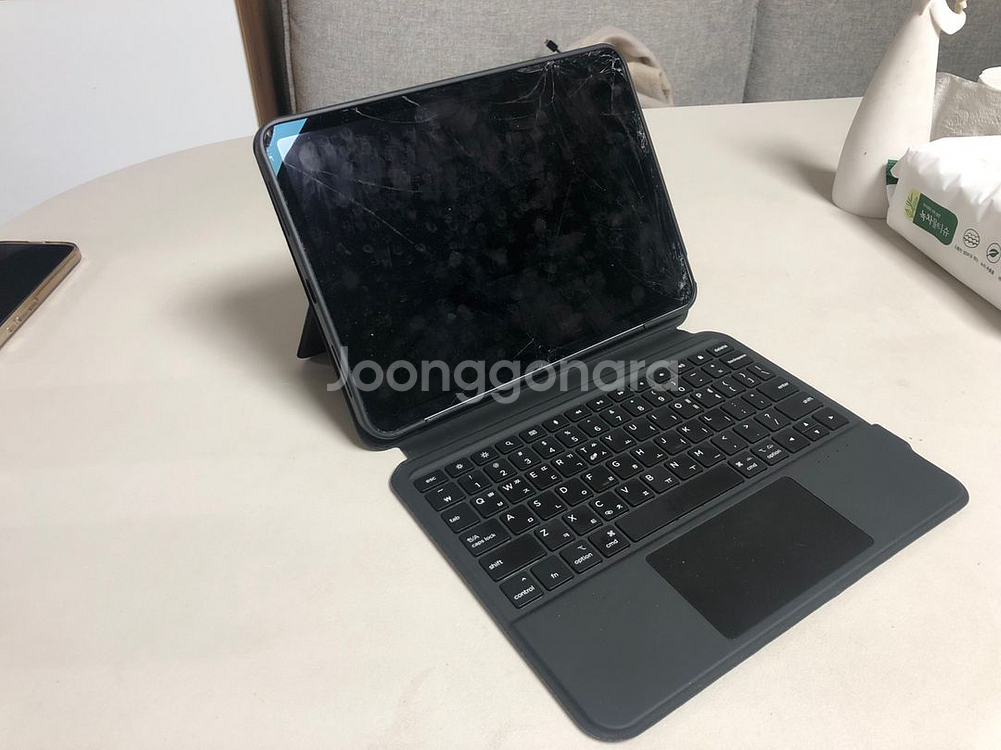 아이패드프로 11 1세대 256 셀룰러--1