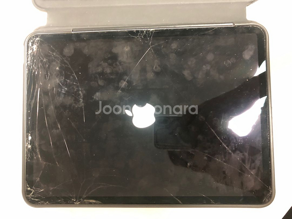 아이패드프로 11 1세대 256 셀룰러--2