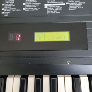 야마하 DXs 디지털 피아노 이미지