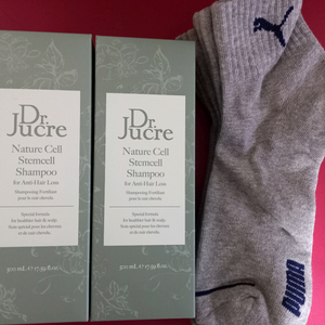 닥터주크 네이처셀 스텐셀 샴푸 2개 세트