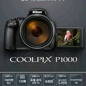 니콘 쿨픽스 P1000 디지털카메라 이미지