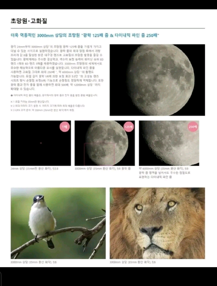 니콘 쿨픽스 P1000 디지털카메라 이미지