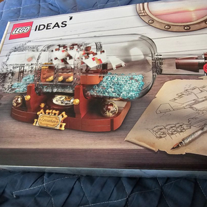 레고 21313 판매합니다