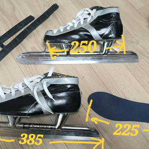 스피드스케이트