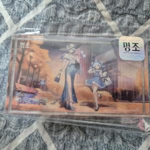 명조 띵조파크 아크릴 블럭 코롯토