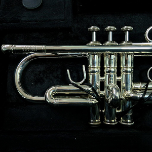 스톰비 타이탄 트럼펫 c조