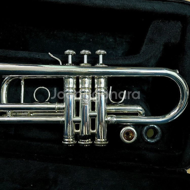 스톰비 타이탄 트럼펫 c조--1