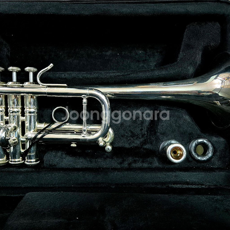 스톰비 타이탄 트럼펫 c조--2