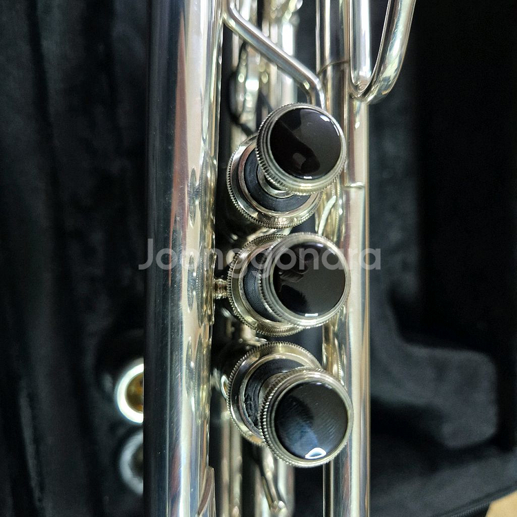 스톰비 타이탄 트럼펫 c조--3