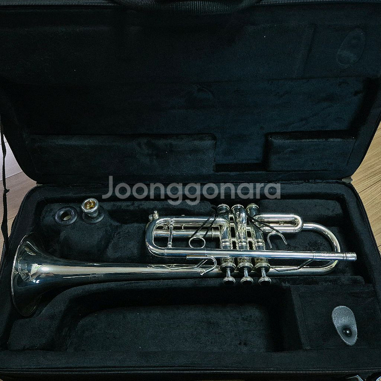 스톰비 타이탄 트럼펫 c조--4