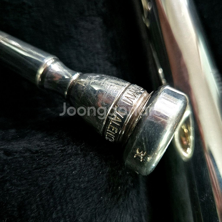 스톰비 타이탄 트럼펫 c조--6