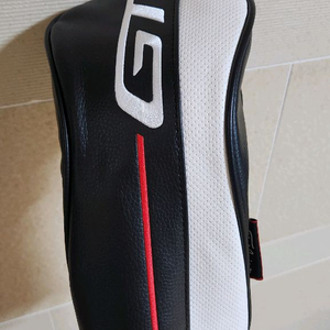 타이틀리스트 GT2 드라이버 10도