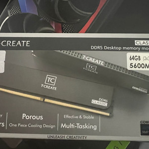팁그룹 DDR5-5600 CL46 CLASSIC 패키지 서린 (64GB(32Gx2))