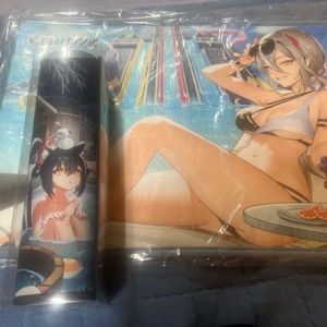 아우터플레인 굿즈 발매트 + 장패드