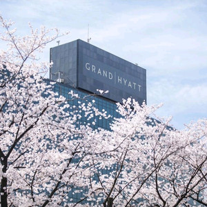 그랜드 하얏트 서울 스탠다드 킹룸 4박