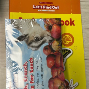 스콜라스틱 렛츠 파인드 아웃