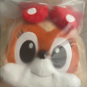 롯데월드 로리가방