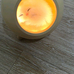 무드등조명제품