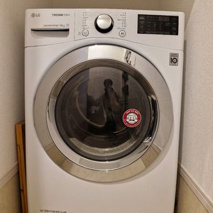 LG 트롬 건조기 14kg [RH14WC]