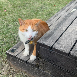 라이젠 5600, 5600x 삽니다 이미지