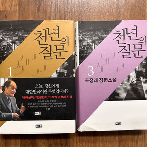 천년의 질문 (조정래)