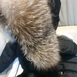 몽클레어클로에 1